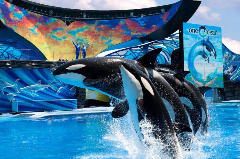 SeaWorld Florida